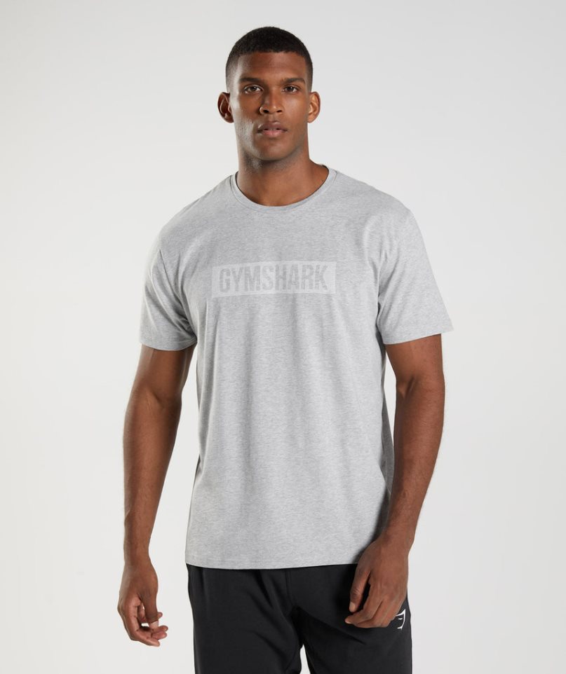 Men\'s Gymshark Block T-Shirts Light Grey | NZ 2VQJFP